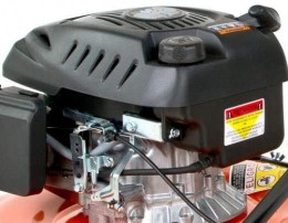 Podadora 20 Std Tecum Valsi EVANS9